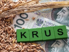 Muszą za to przeżyć miesiąc. Tyle emerytury KRUS wysyła rolnikom