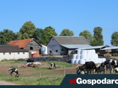 Czy to wyrok na polską wieś? „Tsunami pozwów”