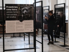 Bez oczu, bez łapy, w ciasnej klatce. Te zdjęcia zobaczą posłowie w Sejmie przed ważnym głosowaniem