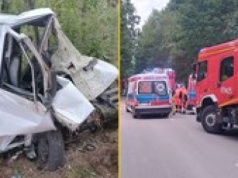 Bus z 9 pasażerami uderzył w drzewo. Wszyscy są ranni