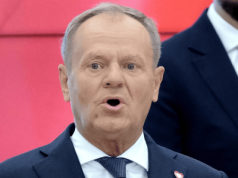 Po tych słowach Donalda Tuska o Hołowni niejednemu zadrży powieka. Nie gryzł się w język