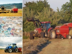 Ile za kombajn? Ile za prasę? Ceny usług rolniczych w lipcu 2025