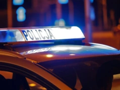 Policjanci zajrzeli do kontenera. Szczeniak piszczał, obok leżały zwłoki 3 małych psów