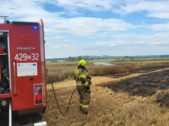 409 pożarów upraw i 87 maszyn – gorący sezon dla strażaków