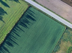 Ruszyły kontrole w gospodarstwach rolnych. Sprawdzą jak będą wykorzystywane dopłaty