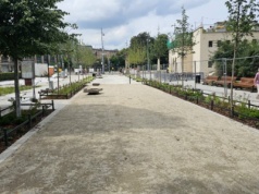 Coraz bardziej zielono na placu przy ul. Świdnickiej. Prace trwają.
