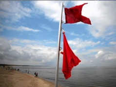 Sinice w Bałtyku, czerwone flagi na plażach. Po kąpieli możesz stracić zdrowie i pieniądze