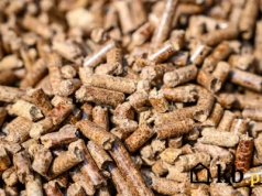 Ile kosztuje samodzielna produkcja pelletu? Te kwoty kompletnie zaskakują!