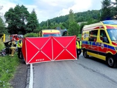 Czołówka osobówki z ciężarówką do przewozu zwierząt. Kierująca zakleszczona w samochodzie [ZDJĘCIA]