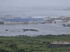 Tsunami po trzęsieniu ziemi na Pacyfiku. Zobacz nagrania