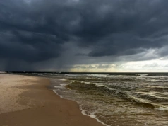 Brzydka pogoda nad Bałtykiem to nie wyrok. Wtedy można znaleźć na plaży takie skarby