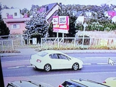 Porwanie maltańczyka w Gnieźnie. Sprawa poruszyła mieszkańców – zakończyła się szczęśliwie