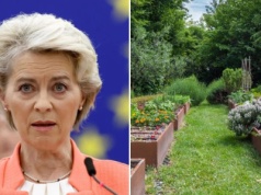 UE zakazuje uprawy tych roślin: Surowe kary dla tych, którzy mają je w ogrodach