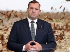 Szarańcza blisko polskiej granicy. Minister Krajewski: szykujemy drony i przepisy