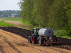 Izby apelują o ratowanie chowu trzody. Chodzi nie tylko o bezpieczeństwo żywnościowe