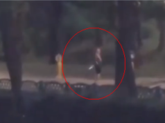 Nagranie z postrzelenia przez policję agresora w Sosnowcu