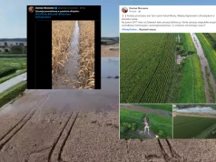 Powódź na Żuławach! Przerwane wały,zalane pola. Kto zawinił?