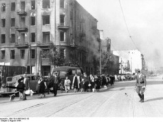 Ukraińcy w okresie Powstania Warszawskiego (OPINIA)