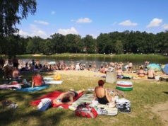 3 kąpieliska w Łódzkiem zamknięte! Powodem sinice