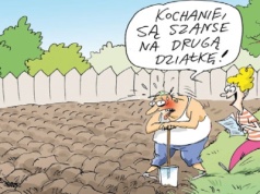 Prawnik radzi. Działka w ROD w spadku 
