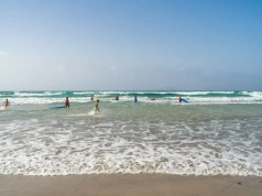 „Błękitne smoki” na europejskiej plaży. Wprowadzono zakaz kąpieli