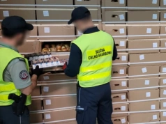 Nielegalne papierosy ukryte w cebuli