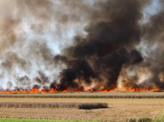 Pożar na polu pod Poznaniem. Jeden z największych w sezonie