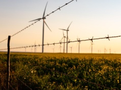 Energia z OZE napędza amerykańskie wsie. Jeden podpis Trumpa może to zatrzymać