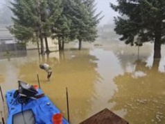 Ewakuacja w stolicy Alaski. Juneau zagrożone powodzią