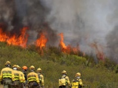 Katastrofa klimatyczna u wrót Europy. Pożary niszczą Hiszpanię