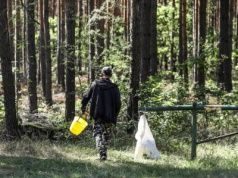 Nawet 5 tys. zł kary za zebranie grzyba. Tych zasady musisz przestrzegać w polskich lasach
