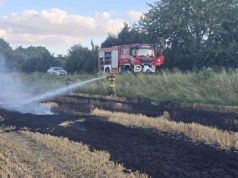 Pożary ściernisk i traw w powiecie świdnickim. Najwięcej w gminie Strzegom [FOTO]