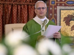 Leon XIV do biskupów Amazonii: nie możemy czcić natury. Stworzenie ma kierować ku Stwórcy