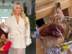 Co za wieści! Gosia Andrzejewicz i kura Pierzynka prezenterkami porannego pasma. "Ko ko kocham to"