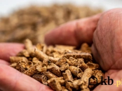 Pellet z Ukrainy pod lupą. Eksperci ujawniają, co naprawdę trafia do Polski