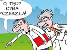 Pradawne ślady życia na lądzie