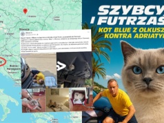 Olkusz: zaginiona kotka znalazła się 1000 km od domu, wlazła w zderzak i wysiadła dopiero w Chorwacji