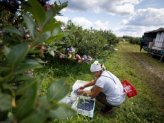 Pierwsza praca na wakacjach: 12 zł za godzinę i zero sił. 