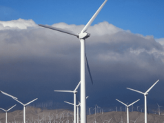 Ponad połowa Polaków popiera lądową energetykę wiatrową