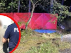 Śmiertelny wypadek na DW278. Kierowca uciekł, teraz jest aresztowany