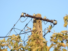 Na twojej działce jest słup energetyczny? Należy ci się odszkodowanie