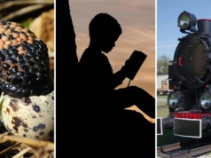 Trudny quiz ortograficzny. Znaczenia niektórych słów nawet nie zrozumiesz