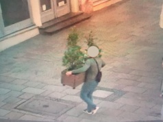 Koneser przyrody na Rynku Głównym w Krakowie