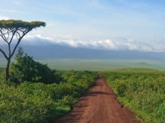 Tanzania wprowadza nowy i wysoki podatek. Linie lotnicze oburzone