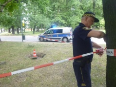 Papuga w sklepie, rajd po trawnikach. Interwencje straży miejskiej