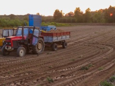 Uprawa bezorkowa nie tylko dla dużych