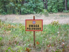 Nagły zwrot ws. tragedii w Młyniskach. Śledczy mają wątpliwości i nową hipotezę