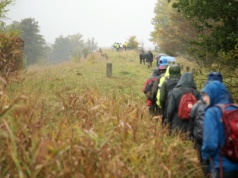 Po 24 latach w Polsce powstanie nowy park narodowy? To ostatnia prosta. 