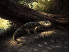 Ten stwór siał postrach w erze dinozaurów. Paleontolodzy odkryli go zupełnie przypadkowo