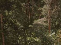 Żelazny Obrońca-25: Wojsko jedzie na poligony i apeluje do mieszkańców Lubelszczyzny